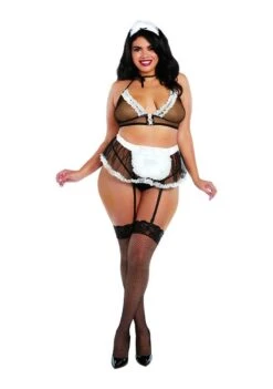 Dreamgirl Very Sheer Mesh Maid Bedroom Costume – OSQ