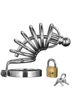 Master Series – Asylum – 6 Ring Chasity Cage