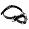 Frog Tie Kneeling Bondage Restrant System – Black -Sexy Serie Winkel AF224 1