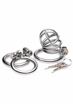 The Pen Deluxe Locking Chastity Cage – Silver