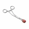 Stainless Steel Forceps -Sexy Serie Winkel IS116 1 1